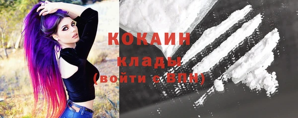 Альфа ПВП Аркадак