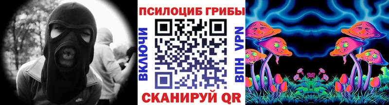 где продают   Урюпинск  МЕГА как зайти  Псилоцибиновые грибы Psilocybine cubensis 